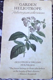 Botanical Inspirations Deck & Book Set